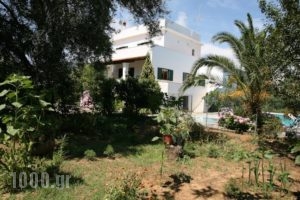 Villa Dina_best prices_in_Villa_Ionian Islands_Corfu_Corfu Rest Areas