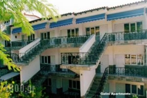 Galini Apartments_holidays_in_Apartment_Macedonia_Halkidiki_Nea Skioni