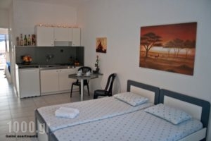 Galini Apartments_best deals_Apartment_Macedonia_Halkidiki_Nea Skioni