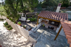 The Pine Trees_accommodation_in_Hotel_Sporades Islands_Skopelos_Agnondas