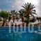 Classic Apartments_accommodation_in_Apartment_Crete_Heraklion_Gouves
