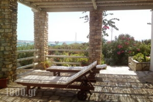 Mike's Place_best deals_Apartment_Cyclades Islands_Antiparos_Antiparos Chora