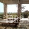 Mike's Place_best deals_Apartment_Cyclades Islands_Antiparos_Antiparos Chora