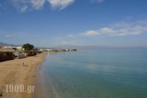 Almyra Apartments_holidays_in_Apartment_Crete_Rethymnon_Rethymnon City
