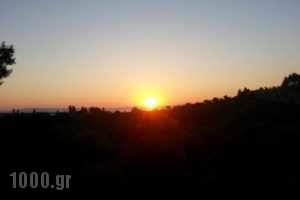 Grivas House_best prices_in_Hotel_Macedonia_Halkidiki_Chalkidiki Area