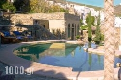 Villa Tripotamos in Tinos Rest Areas, Tinos, Cyclades Islands