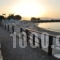 VasilikiApartments_best deals_Apartment_Crete_Chania_Platanias