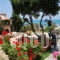 VasilikiApartments_holidays_in_Apartment_Crete_Chania_Platanias