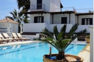 7 Islands_accommodation_in_Hotel_Piraeus Islands - Trizonia_Spetses_Spetses Chora