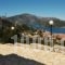 Calypso Apartments_holidays_in_Apartment_Ionian Islands_Ithaki_Ithaki Chora