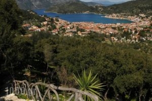Calypso Apartments_best prices_in_Apartment_Ionian Islands_Ithaki_Ithaki Chora