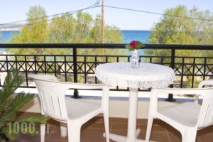 Garifalo Apartments_best prices_in_Apartment_Crete_Chania_Akrotiri