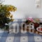 Diamanti Studios Apartments_best deals_Apartment_Aegean Islands_Lesvos_Mythimna (Molyvos)