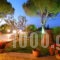 Villa Pantis_best deals_Villa_Ionian Islands_Zakinthos_Zakinthos Rest Areas