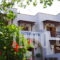 Effie_holidays_in_Hotel_Dodekanessos Islands_Patmos_Skala