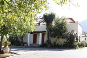 Heleni Apartments_holidays_in_Apartment_Peloponesse_Argolida_Archea (Palea) Epidavros