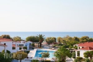 Fito Bay_accommodation_in_Hotel_Aegean Islands_Samos_Pythagorio