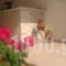 Petrino Apartments_best deals_Apartment_Epirus_Preveza_Parga