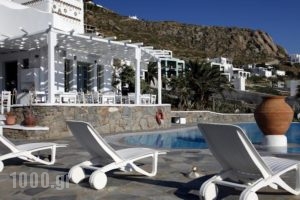 Olia Hotel_best deals_Hotel_Cyclades Islands_Mykonos_Mykonos ora