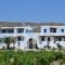 Joanna Apartments_travel_packages_in_Cyclades Islands_Naxos_Naxos Chora