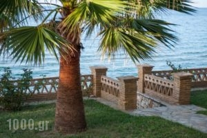 Playa Del Zante_best deals_Room_Ionian Islands_Zakinthos_Alykes