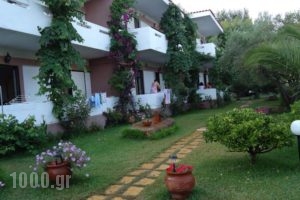 Studios Lainis_holidays_in_Hotel_Macedonia_Halkidiki_Sykia