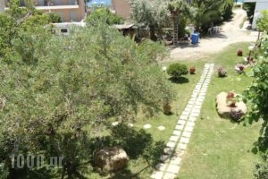 Studios Lainis_lowest prices_in_Hotel_Macedonia_Halkidiki_Sykia