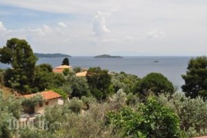 Villa Kim_holidays_in_Villa_Sporades Islands_Skiathos_Achladies