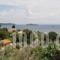 Villa Kim_holidays_in_Villa_Sporades Islands_Skiathos_Achladies