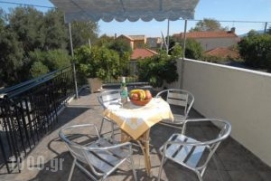 Starvillas_accommodation_in_Villa_Ionian Islands_Kefalonia_Aghia Efimia