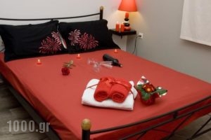 Stork Apartments_holidays_in_Apartment_Peloponesse_Arcadia_Astros