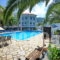 Dolphin_lowest prices_in_Hotel_Sporades Islands_Skopelos_Skopelos Chora