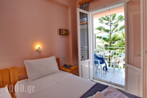 Dolphin_holidays_in_Hotel_Sporades Islands_Skopelos_Skopelos Chora