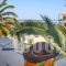 Dolphin_best deals_Hotel_Sporades Islands_Skopelos_Skopelos Chora