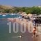 Stork Apartments_best deals_Apartment_Peloponesse_Arcadia_Astros