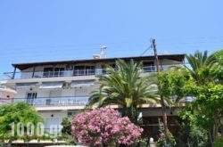 Kalogeraki Studios in Poros Chora, Poros, Piraeus Islands - Trizonia