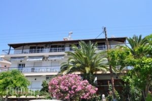 Kalogeraki Studios_accommodation_in_Hotel_Aegean Islands_Thasos_Potos