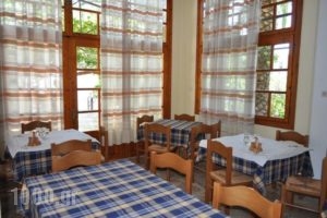 Kalogeraki Studios_holidays_in_Hotel_Aegean Islands_Thasos_Potos