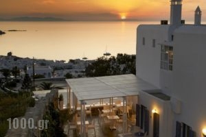 Damianos Mykonos Hotel_accommodation_in_Hotel_Cyclades Islands_Mykonos_Mykonos Chora