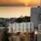 Damianos Mykonos Hotel_accommodation_in_Hotel_Cyclades Islands_Mykonos_Mykonos Chora