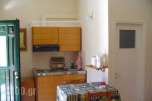 Aristotelis Apartments_accommodation_in_Room_Ionian Islands_Ithaki_Frikes