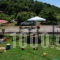 Kastra Apartements_best deals_Room_Thessaly_Larisa_Agia