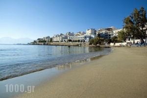 Victoria_lowest prices_in_Hotel_Crete_Lasithi_Aghios Nikolaos