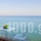 Erytha Hotel & Resort_best deals_Hotel_Aegean Islands_Chios_Karfas