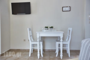 Aelia_holidays_in_Apartment_Cyclades Islands_Andros_Agios Petros