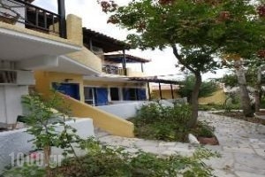 9 Musses_accommodation_in_Apartment_Aegean Islands_Lesvos_Mistegna