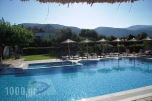 Stalaktites Studios_accommodation_in_Apartment_Ionian Islands_Kefalonia_Kefalonia'st Areas