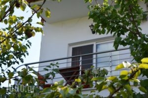 Androni_accommodation_in_Hotel_Aegean Islands_Thasos_Potos