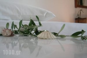 La Veranda of Mykonos Traditional Guesthouse_best deals_Hotel_Cyclades Islands_Mykonos_Mykonos Chora