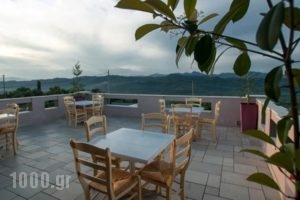 Arty Grand Hotel_best prices_in_Hotel_Peloponesse_Ilia_Krestena